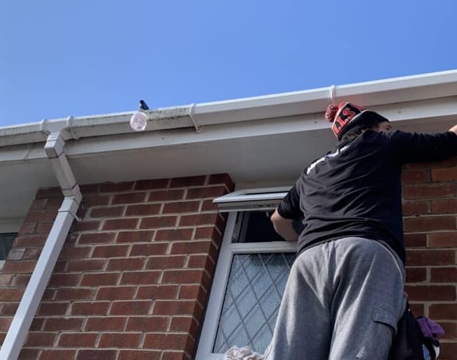 {{brizy_dc_image_alt imageSrc=